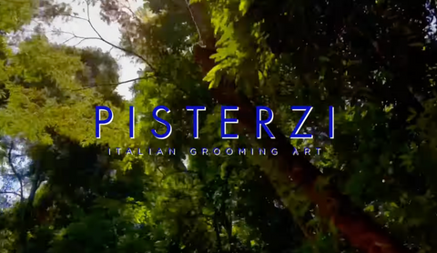 ON THE PISTERZI'S WAY by CLAUDIO CARPI